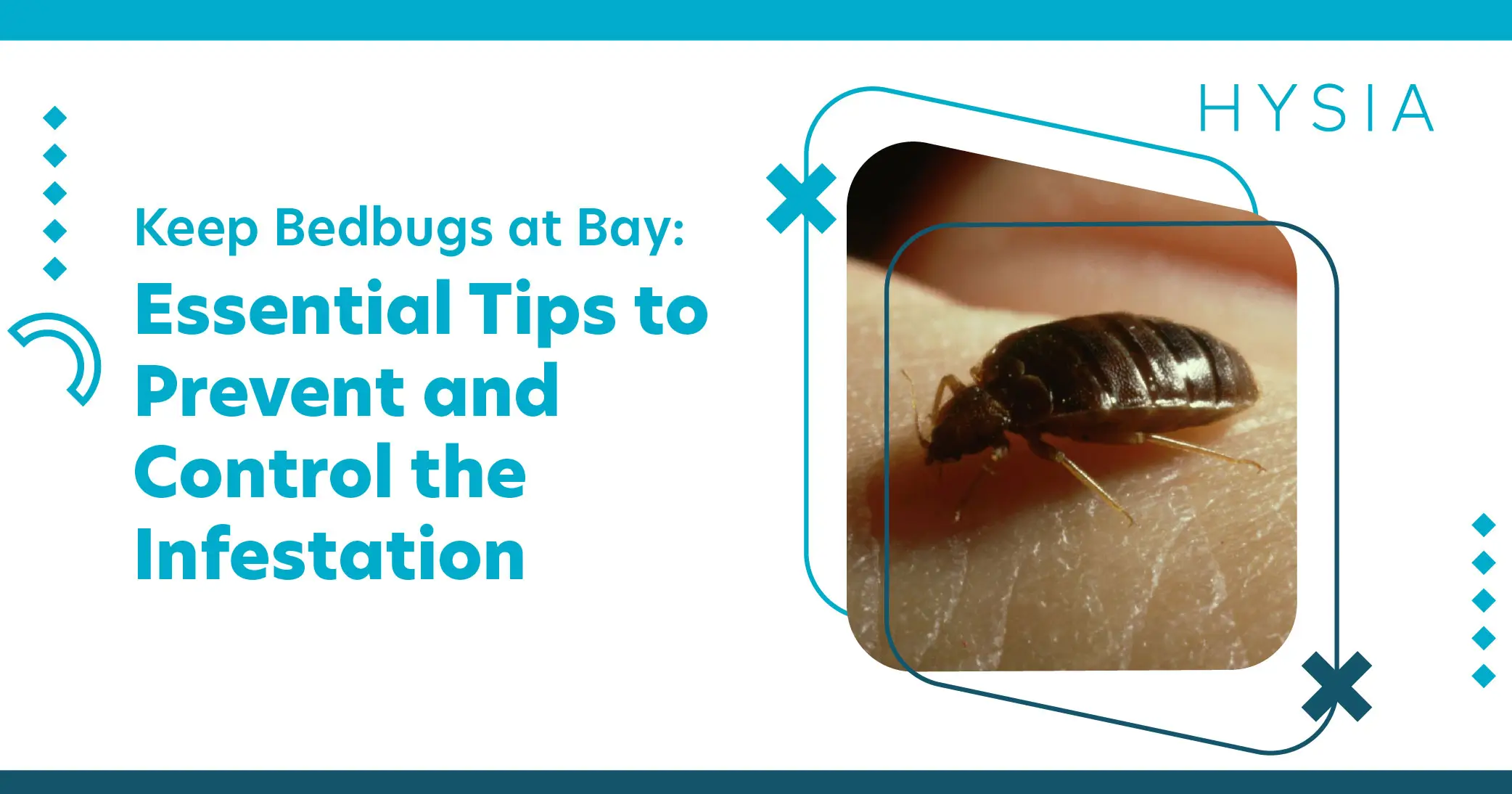 Keep Bed Bugs at Bay Essential Tips to Prevent and Manage the