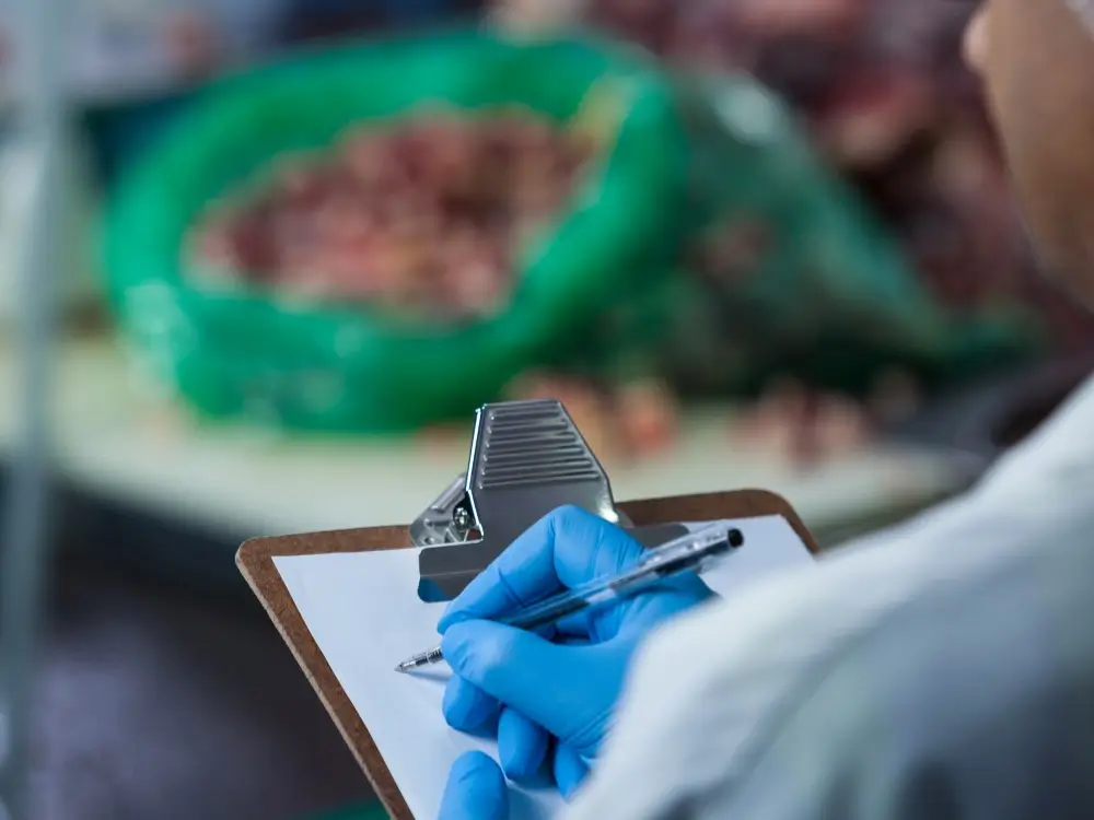 food safety in kitchen